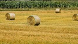 seno hay-bales-4501943 960 720